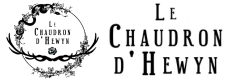 Le Chaudron d'Hewyn · Laetitia Hofstetter